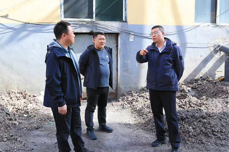 ֣�Ԫ�������������̬����������ɭ�ַ�����